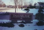 Tamerlane- Mountain Rose granite.jpg - 